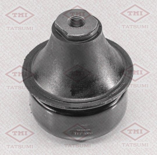 TATSUMI TEF1066 [Марка автомобиля]